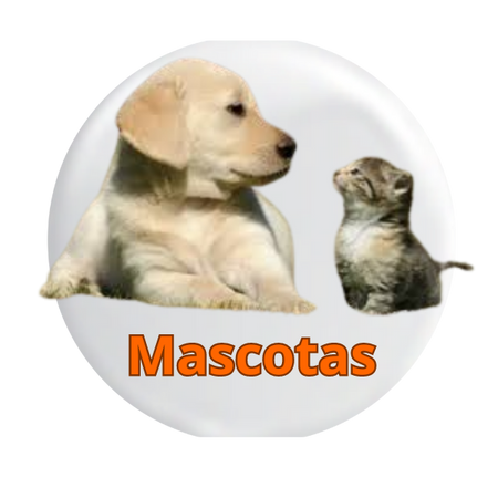 Mascotas